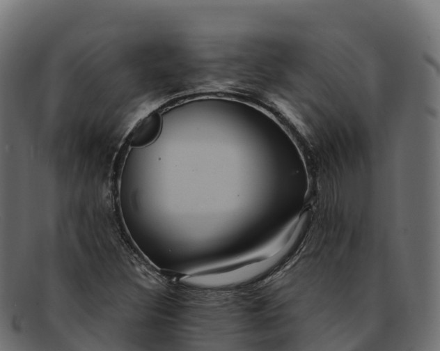 X0000091941308200709191412