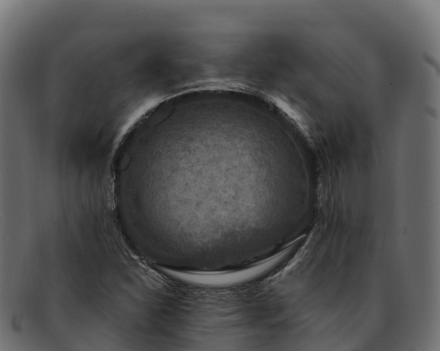 X0000091941310200709191412