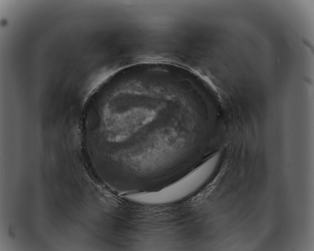 X0000091941311200709191412