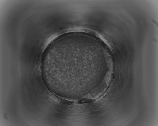 X0000091941312200709191412