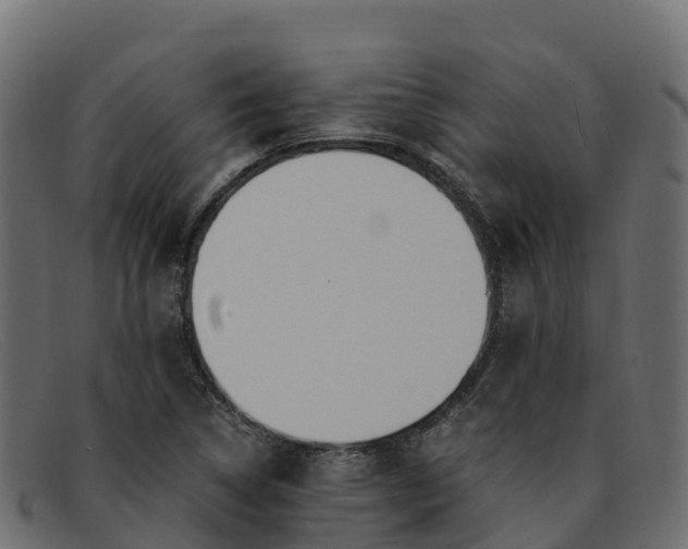 X0000091941314200709191412