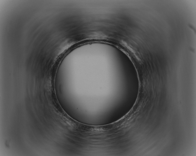 X0000091941315200709191412