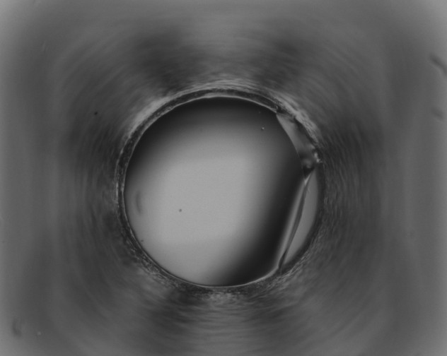 X0000091941316200709191412