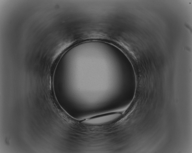 X0000091941317200709191412