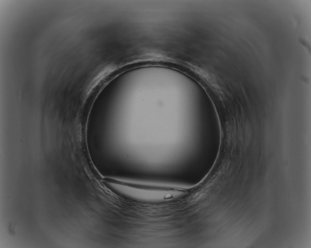 X0000091941318200709191412