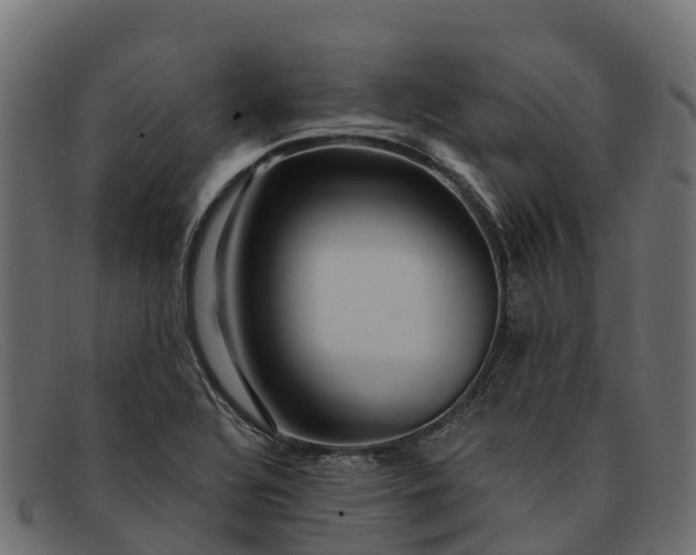 X0000091941320200709191412