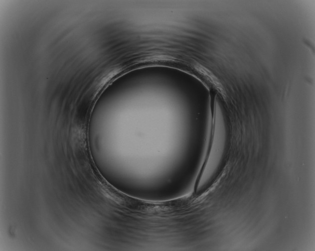 X0000091941321200709191412