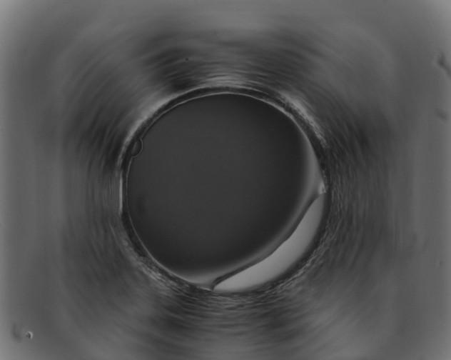 X0000091941323200709191412