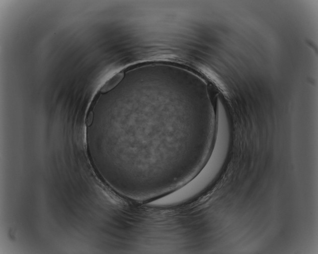 X0000091941324200709191412