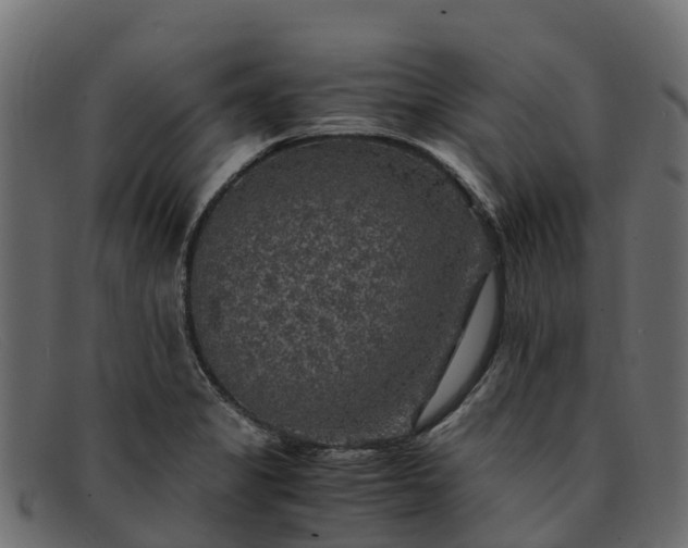 X0000091941325200709191412