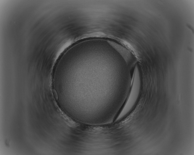 X0000091941326200709191412