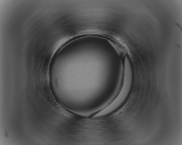 X0000091941328200709191412