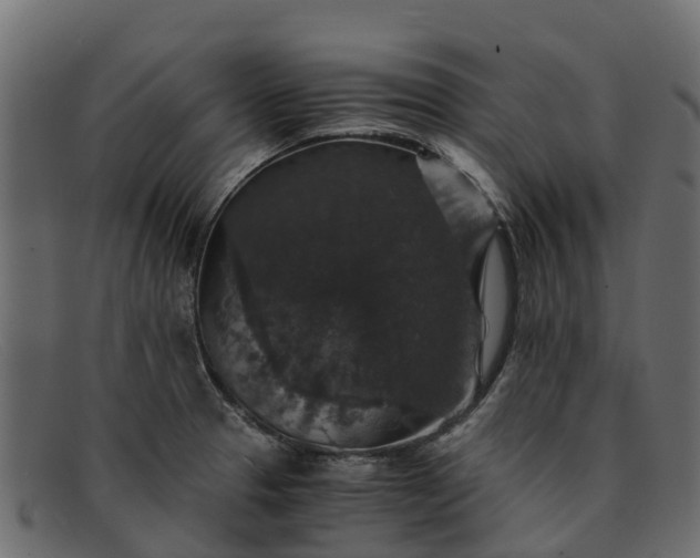 X0000091941329200709191412