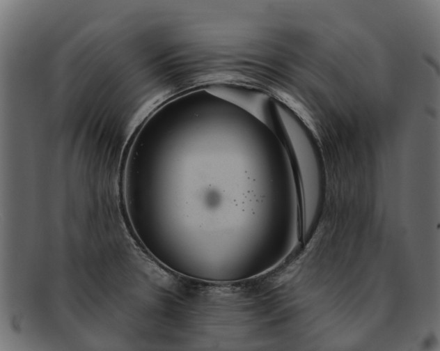 X0000091941330200709191412