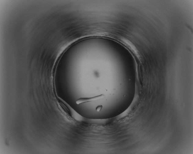 X0000091941332200709191412