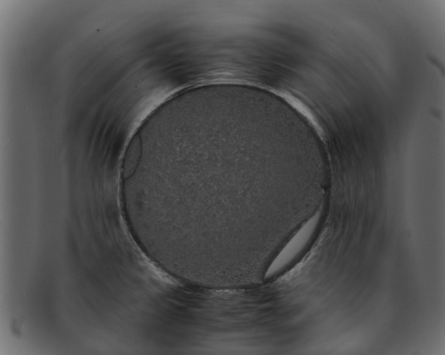 X0000091941333200709191412