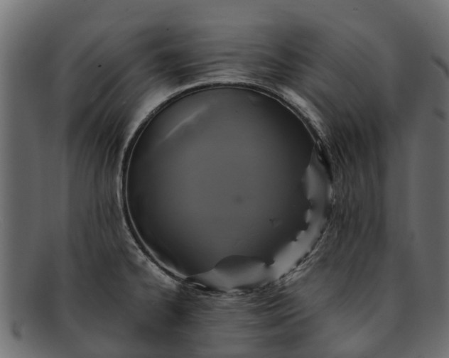 X0000091941334200709191412