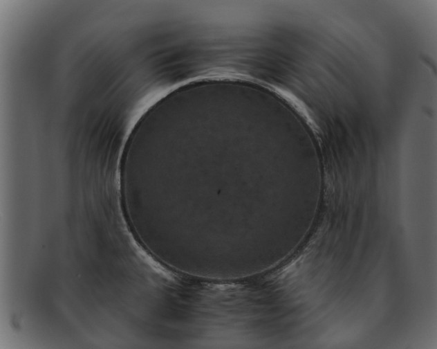 X0000091941335200709191412