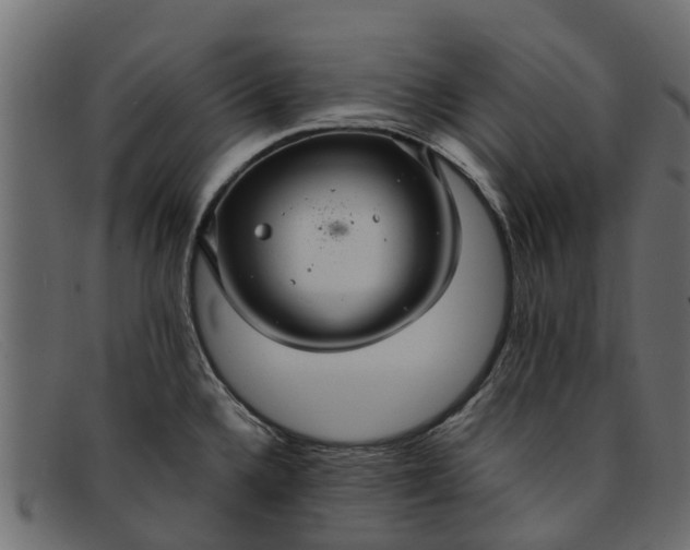 X0000091941336200709191412