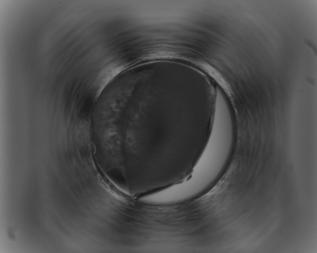 X0000091941337200709191412