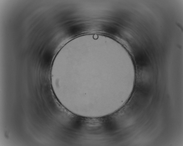 X0000091941338200709191412