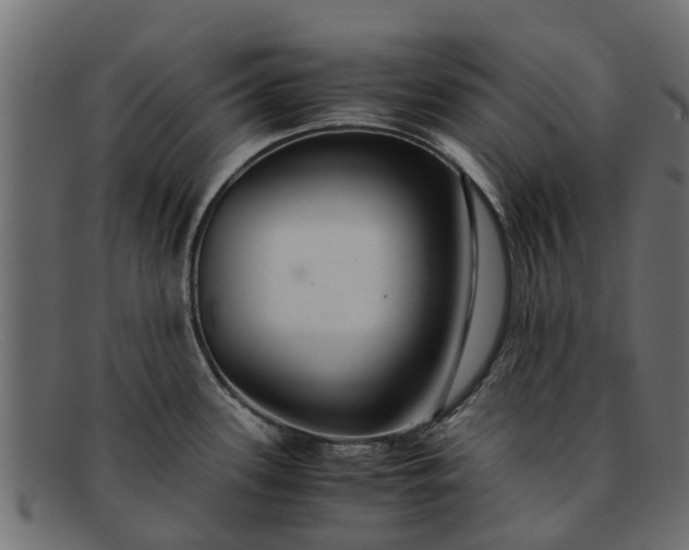 X0000091941339200709191412