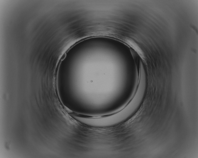 X0000091941340200709191412