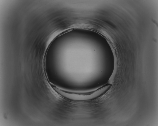 X0000091941344200709191412