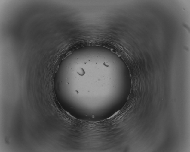 X0000091941345200709191412