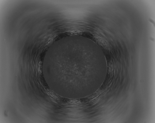 X0000091941346200709191412