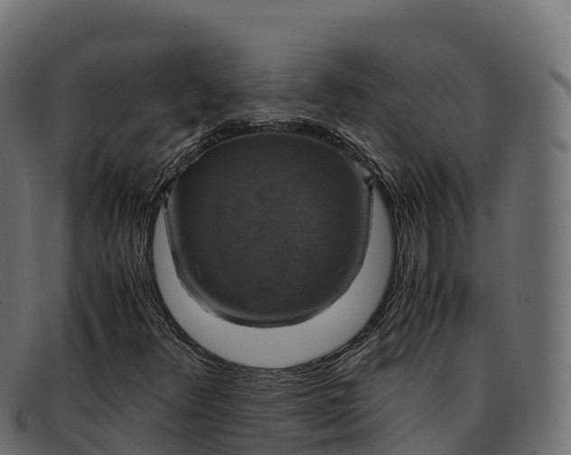 X0000091941348200709191412