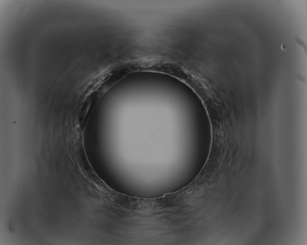 X0000091941349200709191412