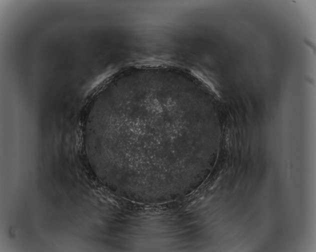 X0000091941350200709191412