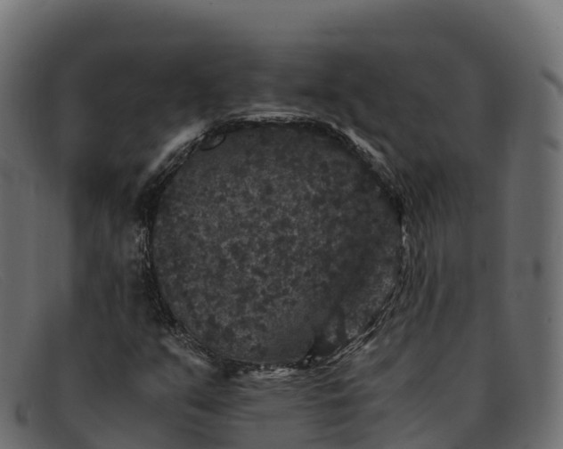 X0000091941351200709191411