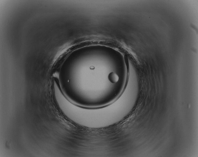 X0000091941352200709191411