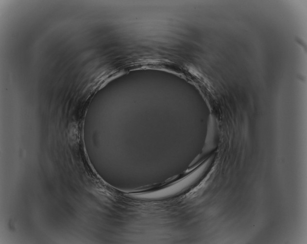 X0000091941353200709191411