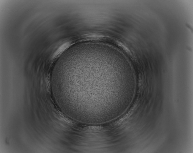 X0000091941354200709191411