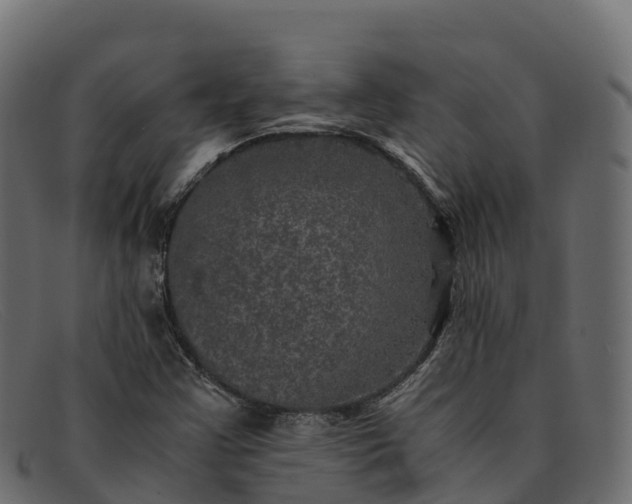 X0000091941355200709191411