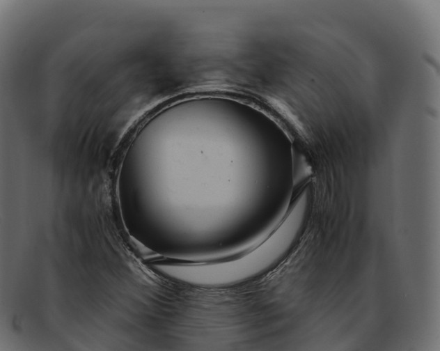 X0000091941356200709191411