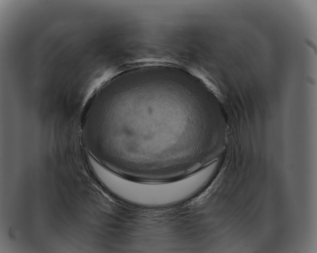 X0000091941357200709191411