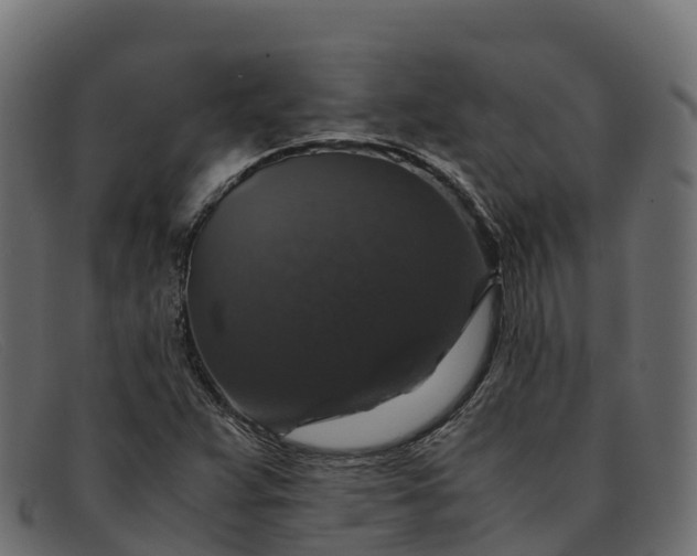 X0000091941359200709191411