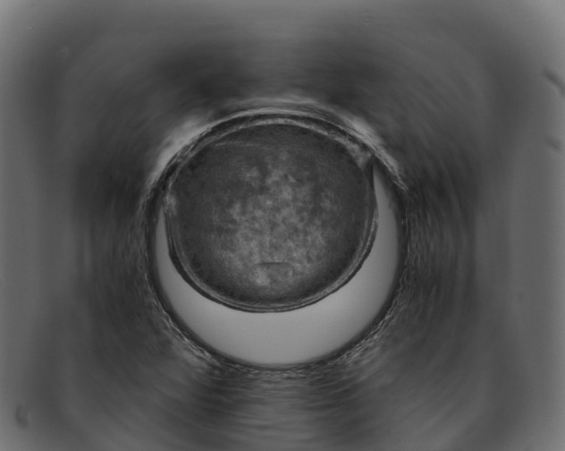 X0000091941360200709191411