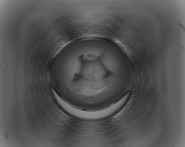 X0000091941361200709191411