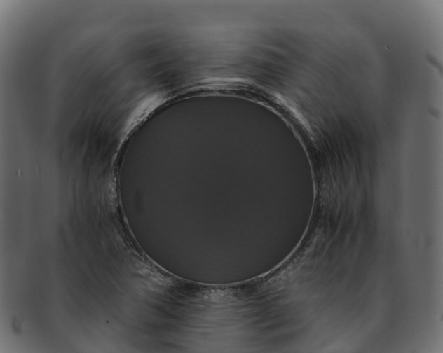 X0000091941362200709191411