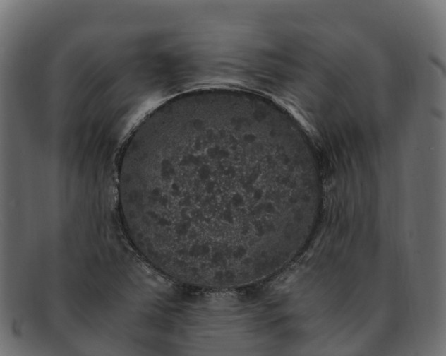 X0000091941363200709191411