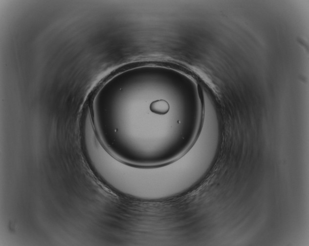 X0000091941364200709191411