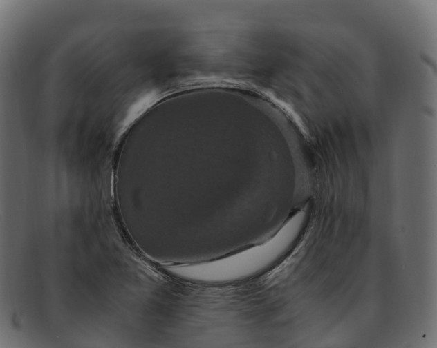 X0000091941365200709191411