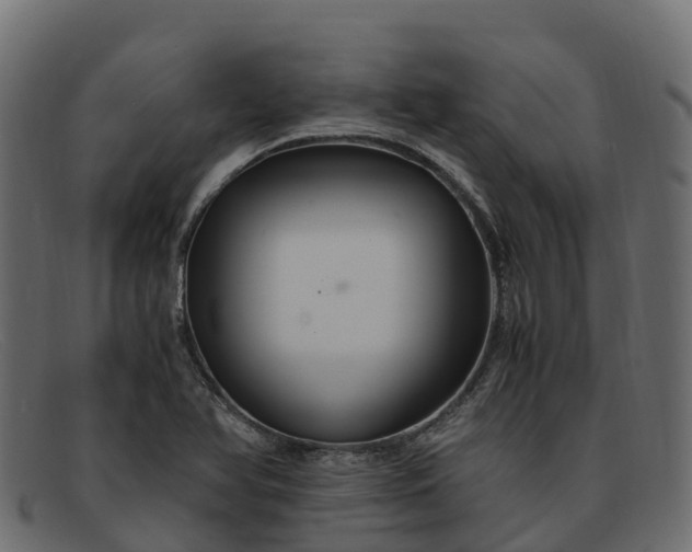 X0000091941366200709191411