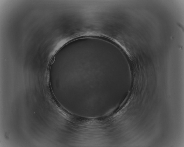 X0000091941367200709191411