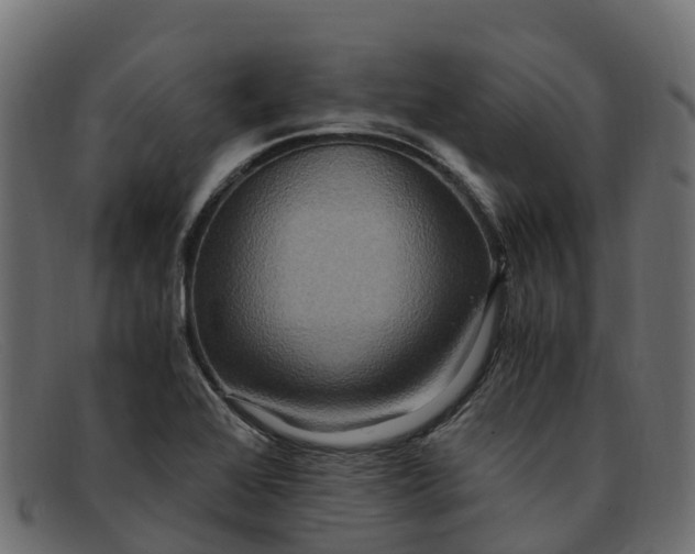 X0000091941368200709191411